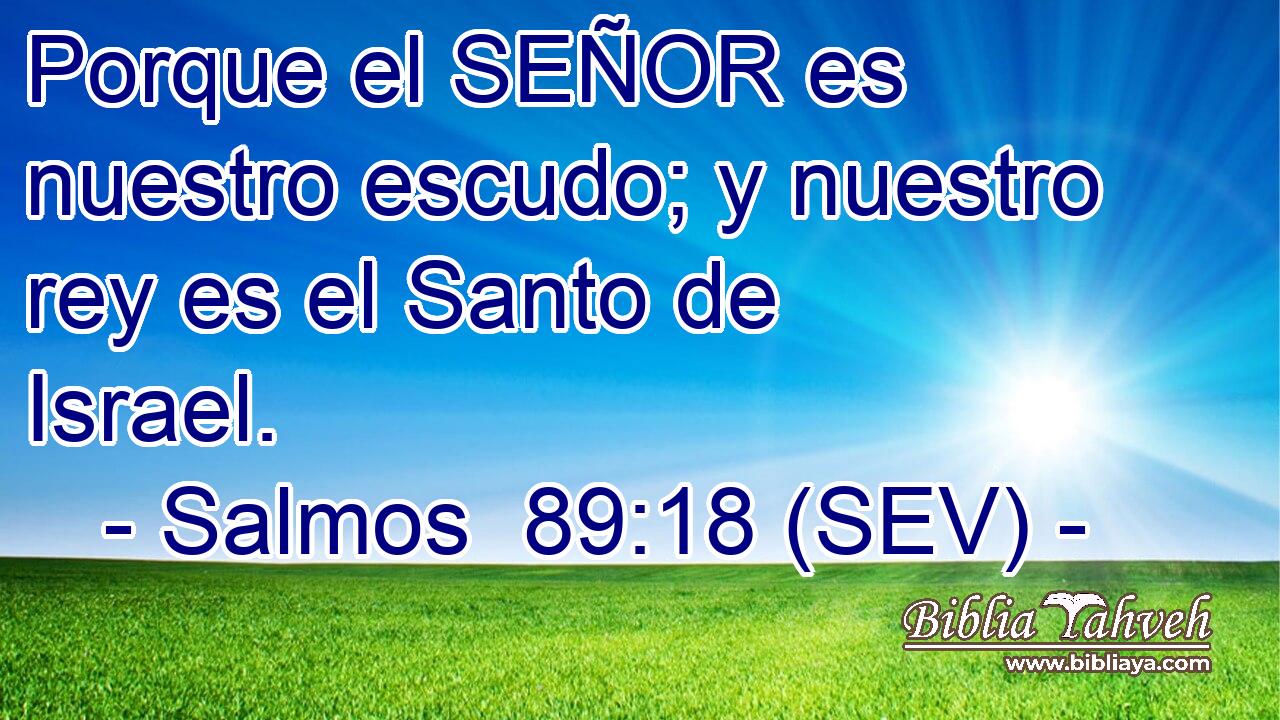 Porque el SEÑOR es nuestro escudo; y nuestro rey es el Santo de Israel.