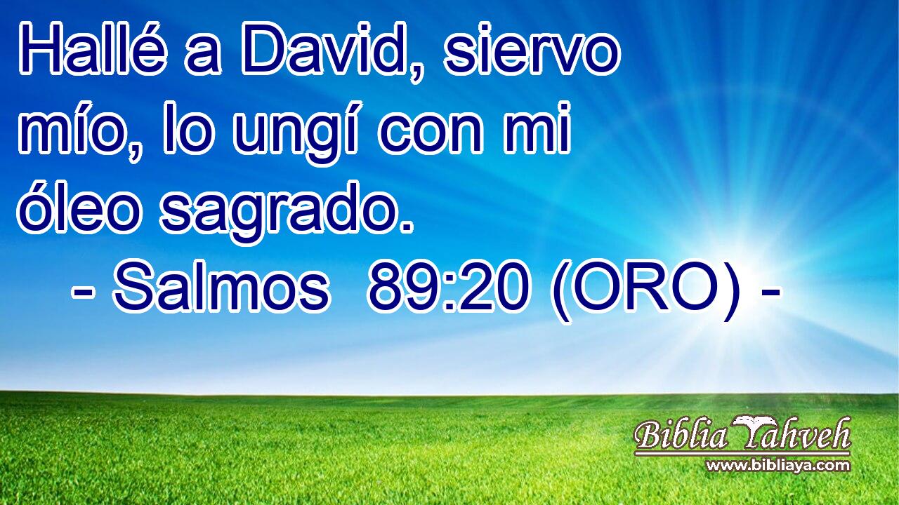  Hallé a David, siervo mío, lo ungí con mi óleo sagrado. 