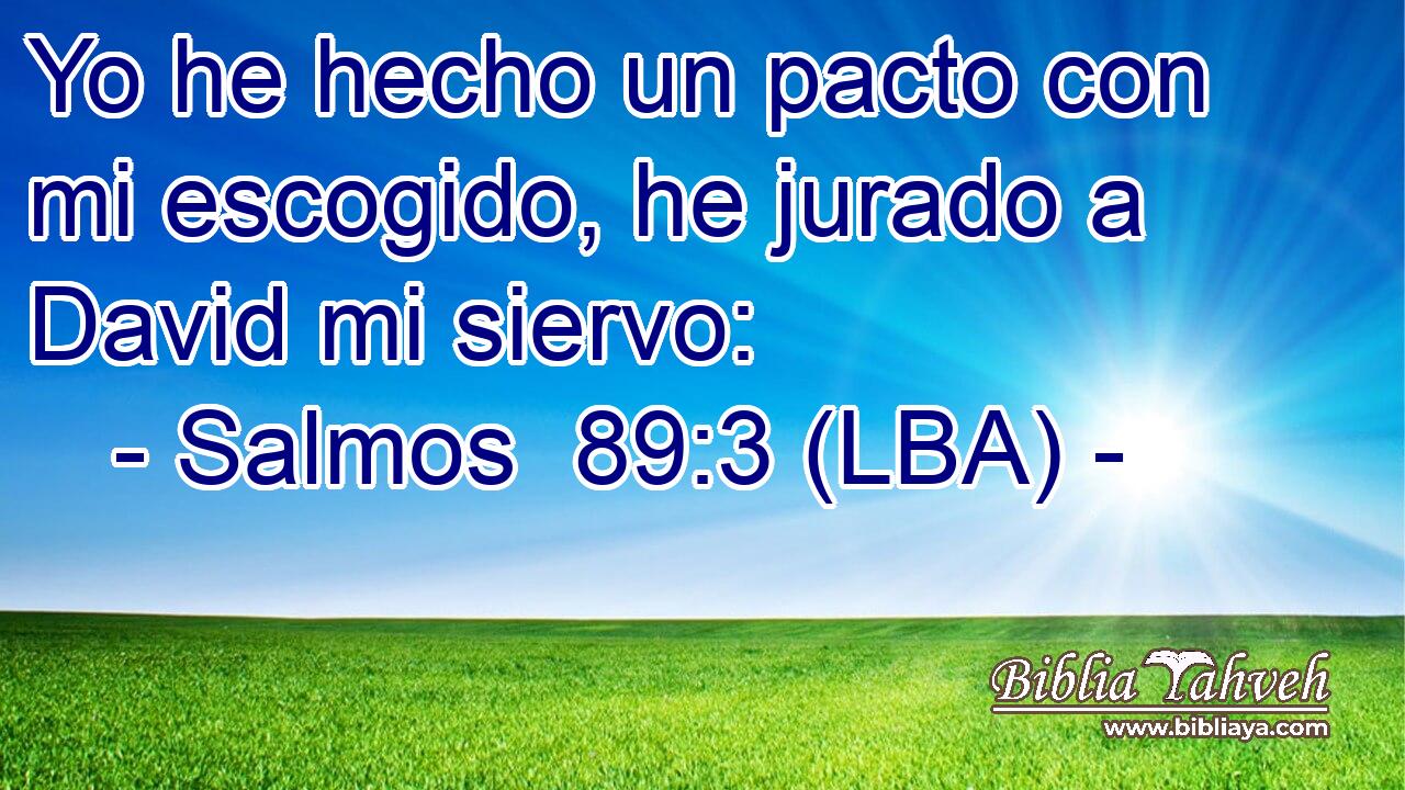 Yo he hecho un pacto con mi escogido, he jurado a David mi siervo: