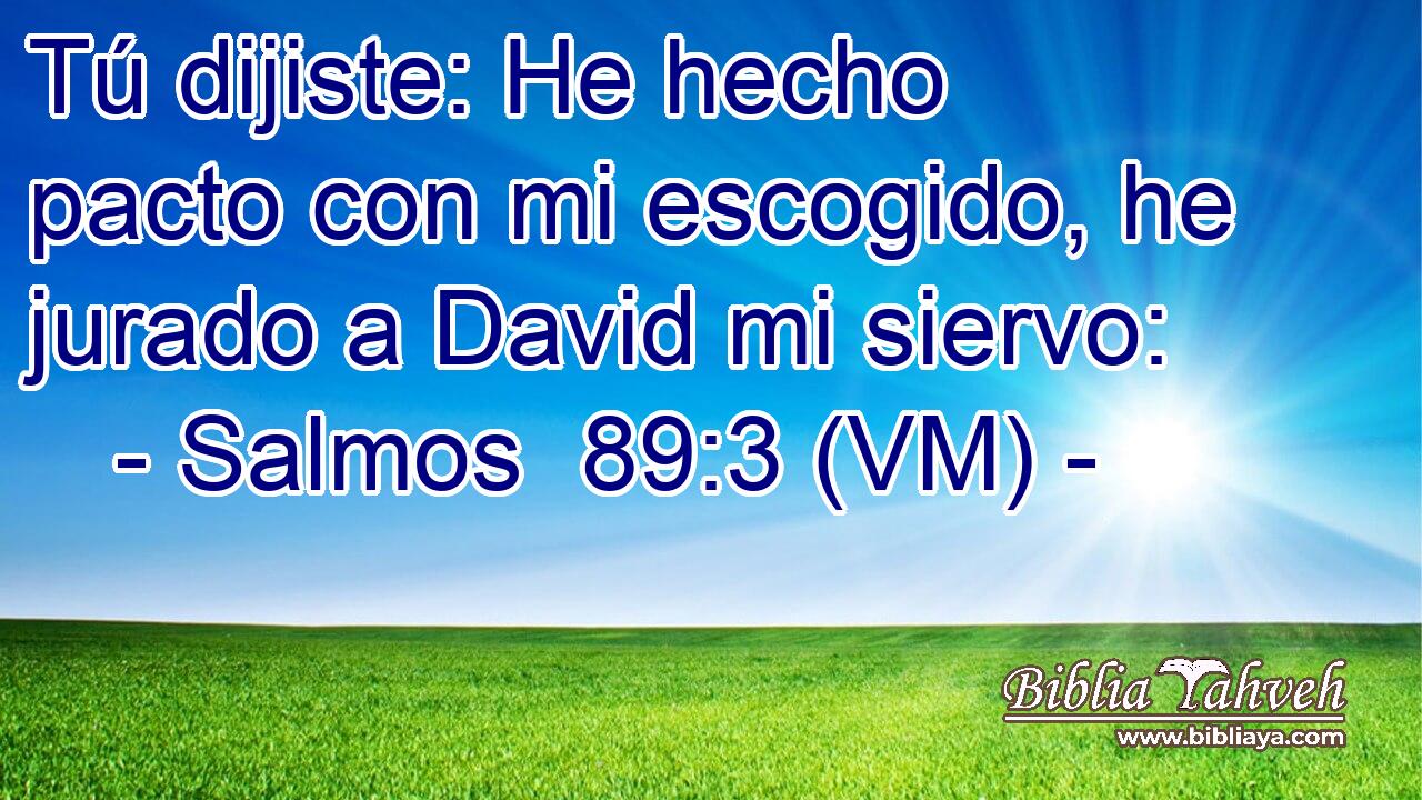  Tú dijiste: He hecho pacto con mi escogido, he jurado a David mi siervo: 