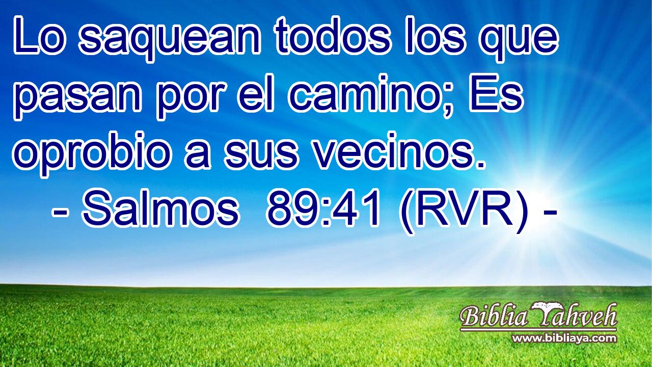 Lo saquean todos los que pasan por el camino; Es oprobio a sus vecinos.