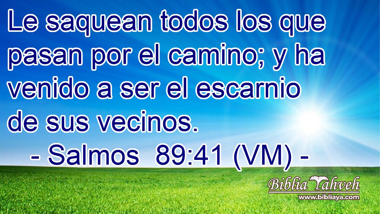  Le saquean todos los que pasan por el camino; y ha venido a ser el escarnio de sus vecinos. 