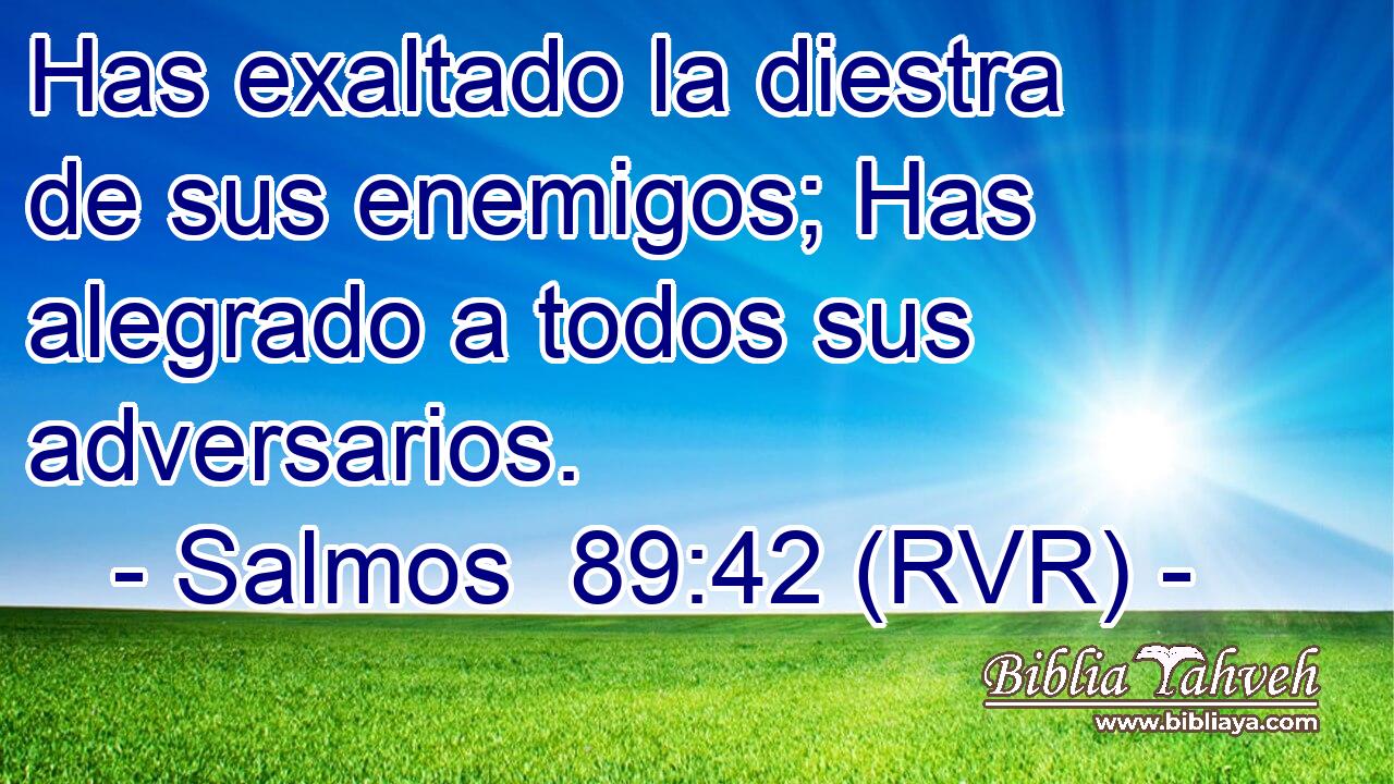 Has exaltado la diestra de sus enemigos; Has alegrado a todos sus adversarios.