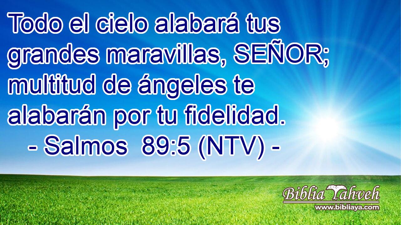 Todo el cielo alabará tus grandes maravillas, SEÑOR; multitud de ángeles te alabarán por tu fidelidad.