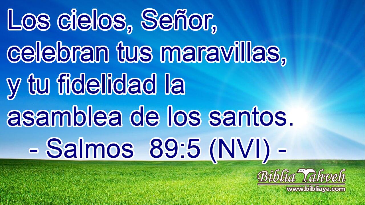  Los cielos, Señor, celebran tus maravillas, y tu fidelidad la asamblea de los santos. 