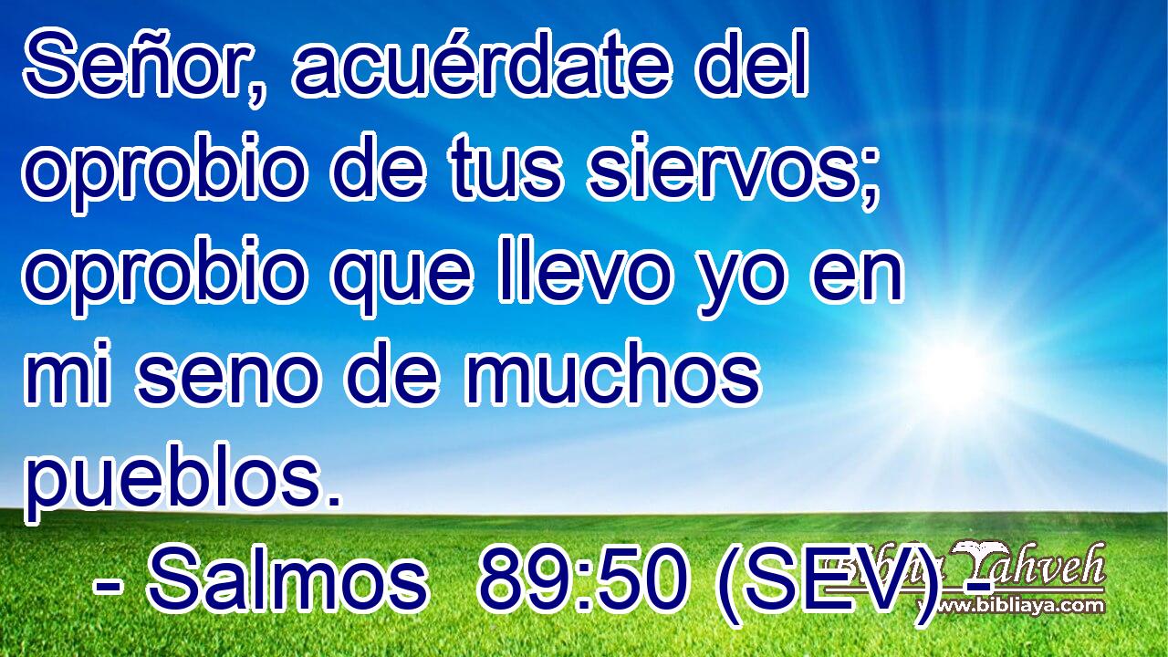 Señor, acuérdate del oprobio de tus siervos; oprobio que llevo yo en mi seno de muchos pueblos.