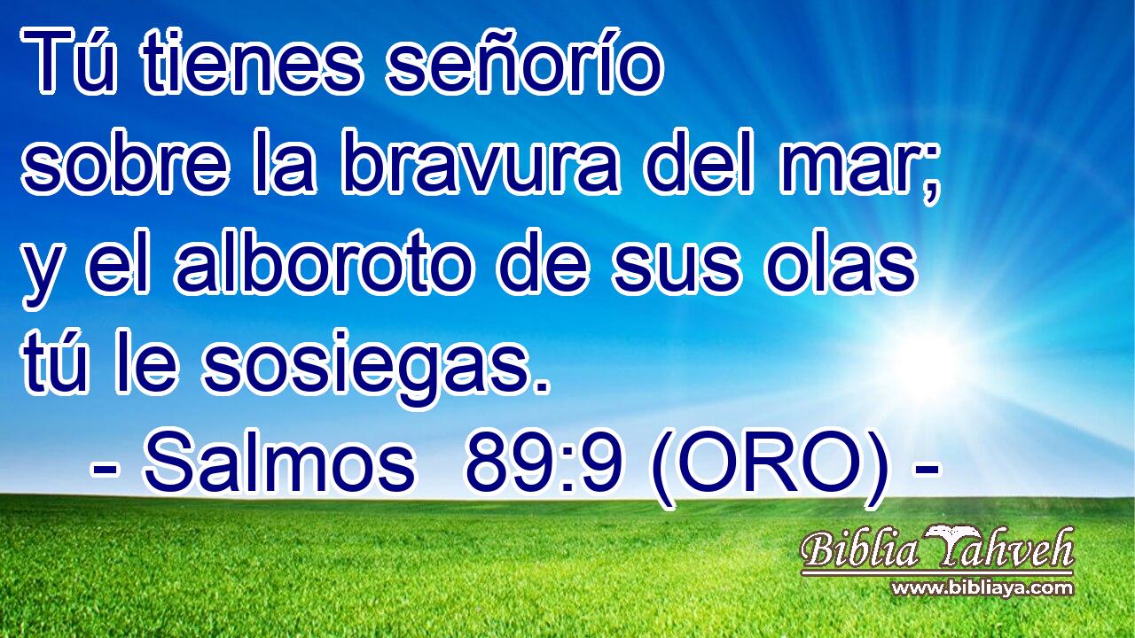  Tú tienes señorío sobre la bravura del mar; y el alboroto de sus olas tú le sosiegas. 
