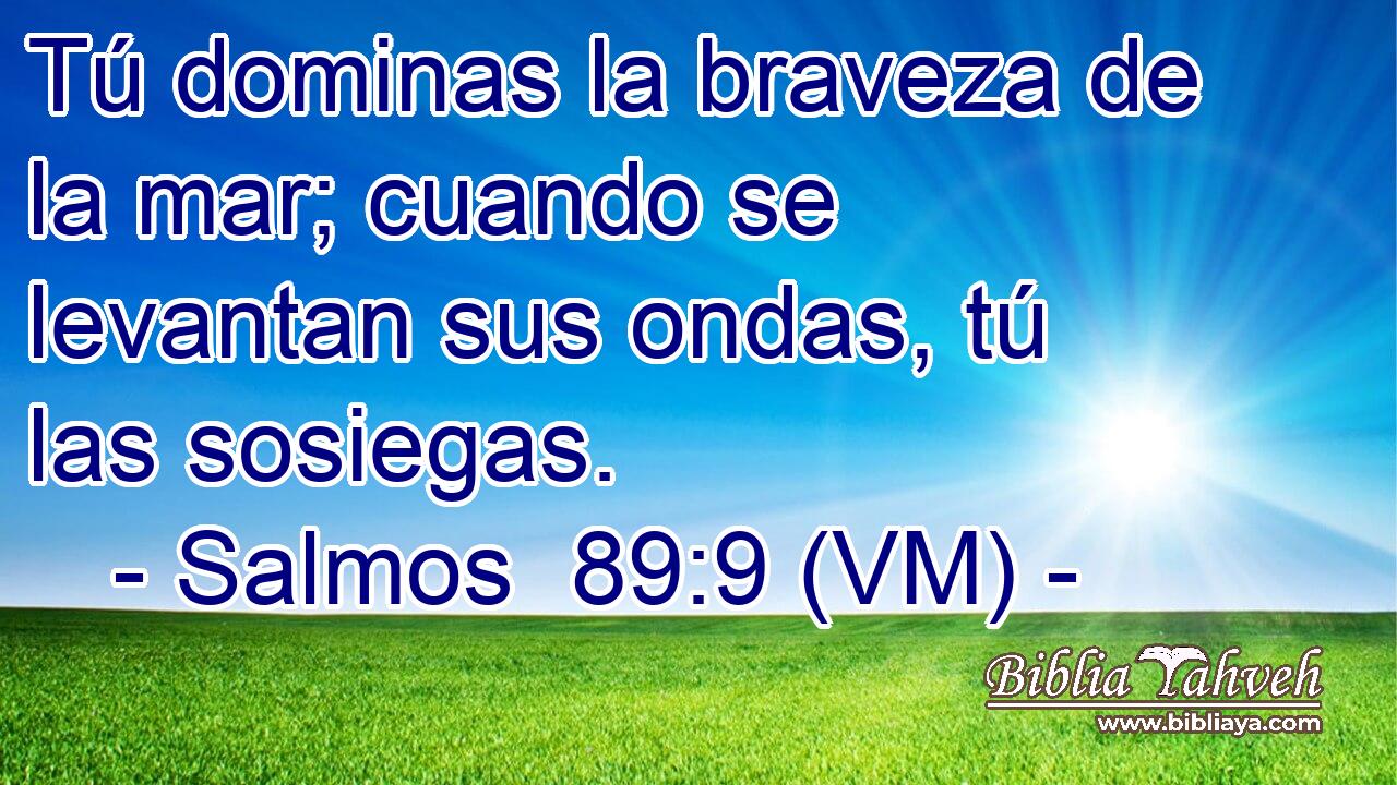 Tú dominas la braveza de la mar; cuando se levantan sus ondas, tú las sosiegas. 