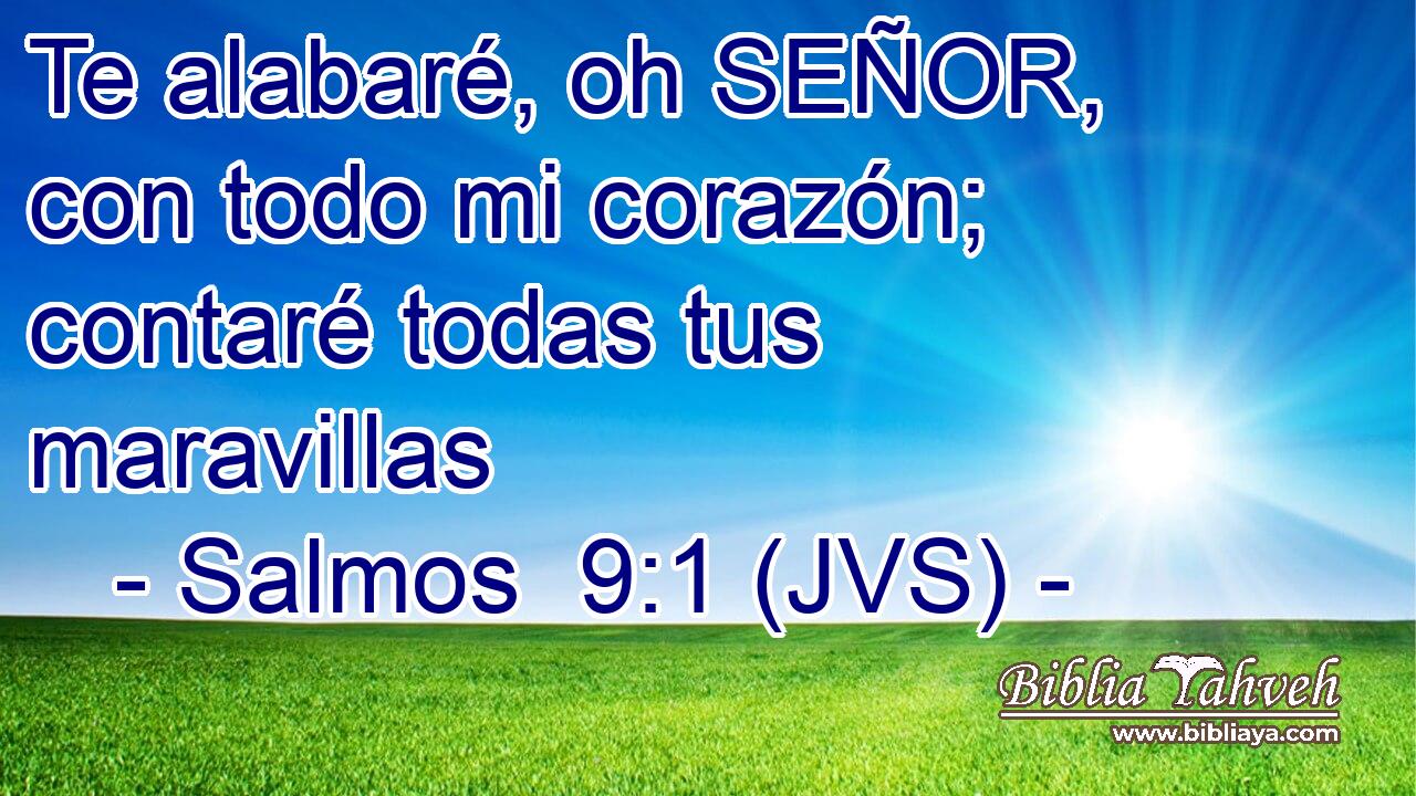 Te alabaré, oh SEÑOR, con todo mi corazón; contaré todas tus maravillas