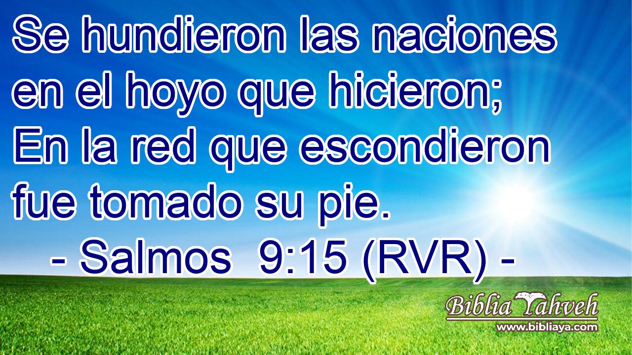 Se hundieron las naciones en el hoyo que hicieron; En la red que escondieron fue tomado su pie.