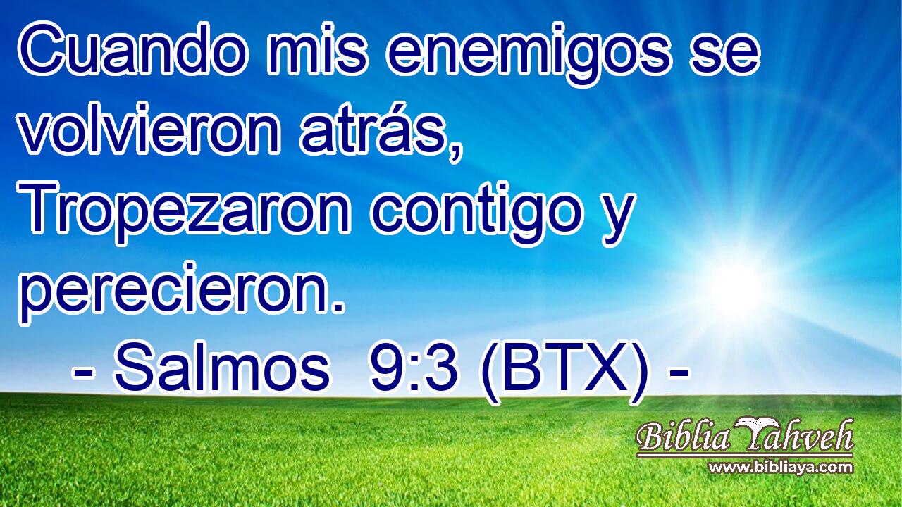 Cuando mis enemigos se volvieron atrás, Tropezaron contigo y perecieron.