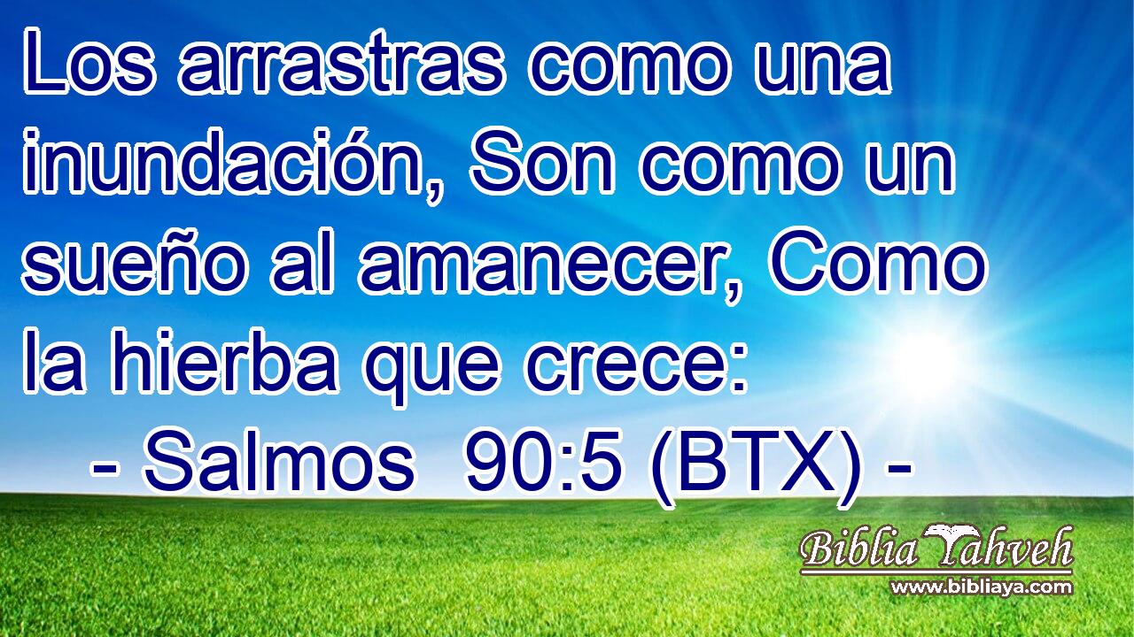 Los arrastras como una inundación, Son como un sueño al amanecer, Como la hierba que crece: