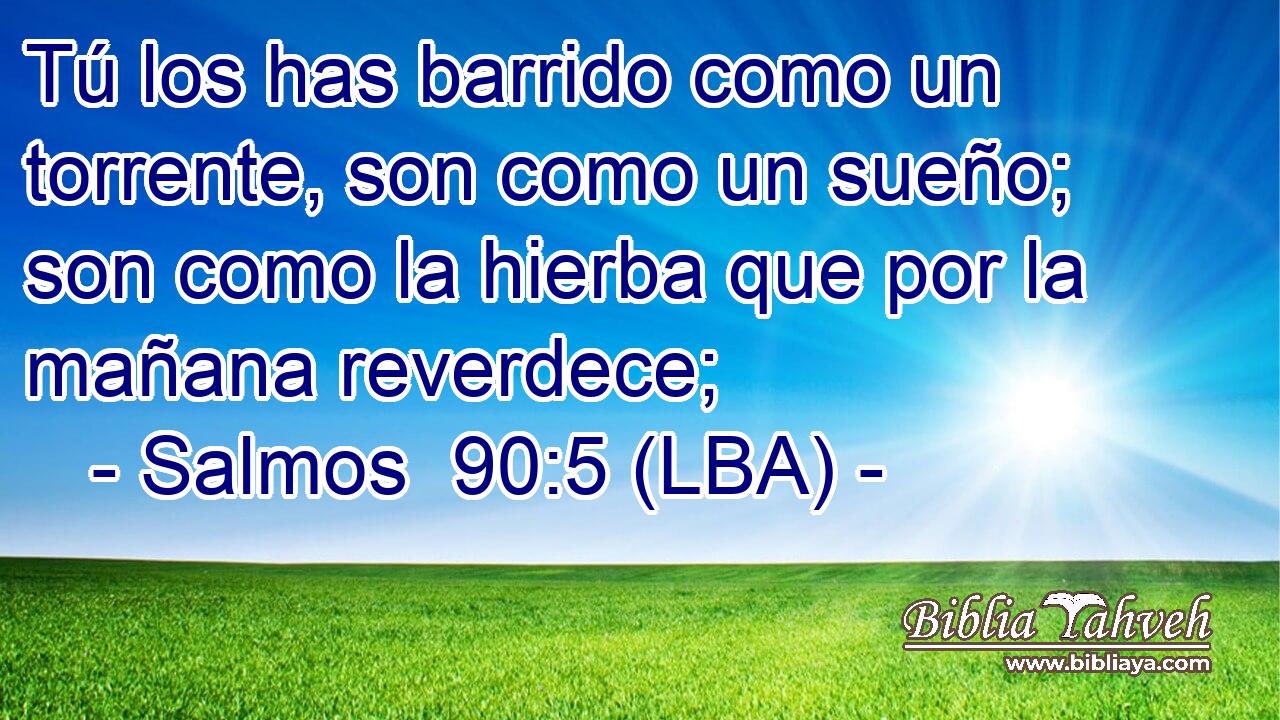 Tú los has barrido como un torrente, son como un sueño; son como la hierba que por la mañana reverdece;