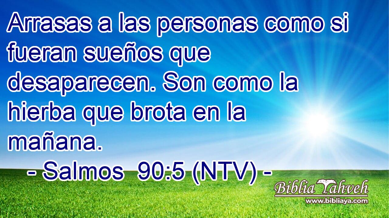 Arrasas a las personas como si fueran sueños que desaparecen. Son como la hierba que brota en la mañana.
