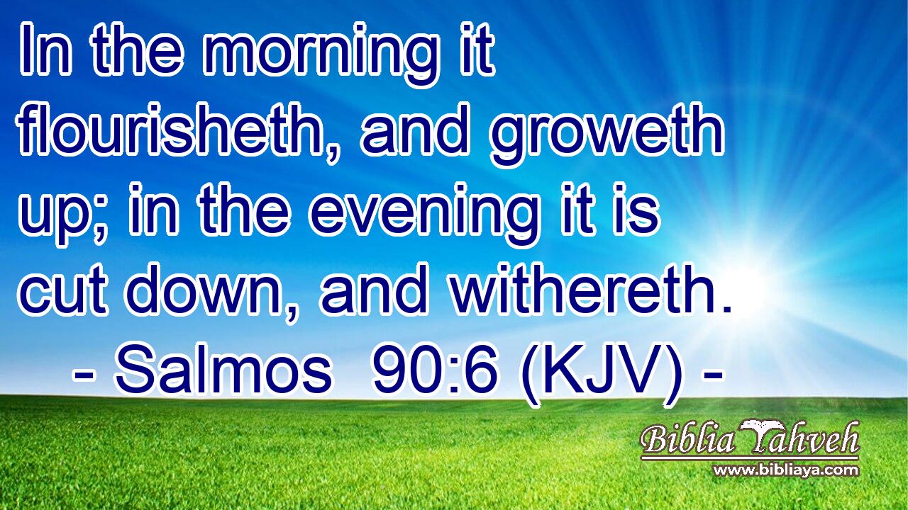 In the morning it flourisheth, and groweth up; in the evening it is cut down, and withereth.