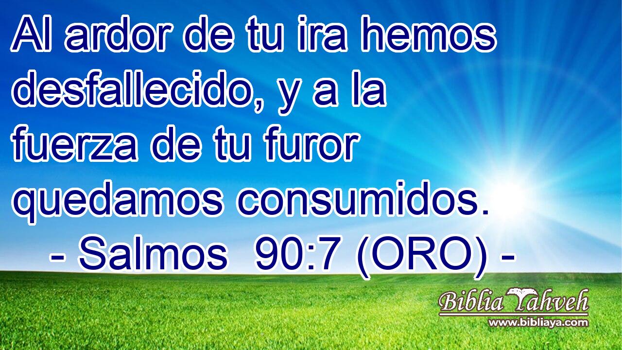  Al ardor de tu ira hemos desfallecido, y a la fuerza de tu furor quedamos consumidos. 