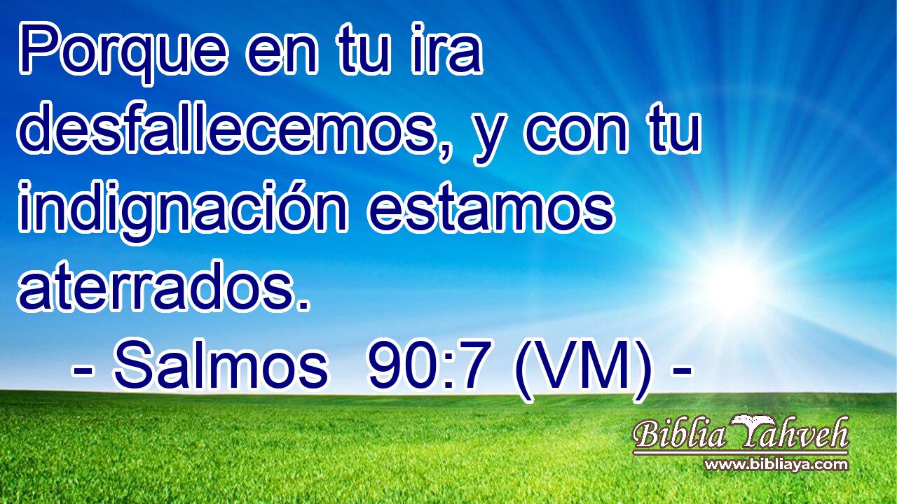  Porque en tu ira desfallecemos, y con tu indignación estamos aterrados. 