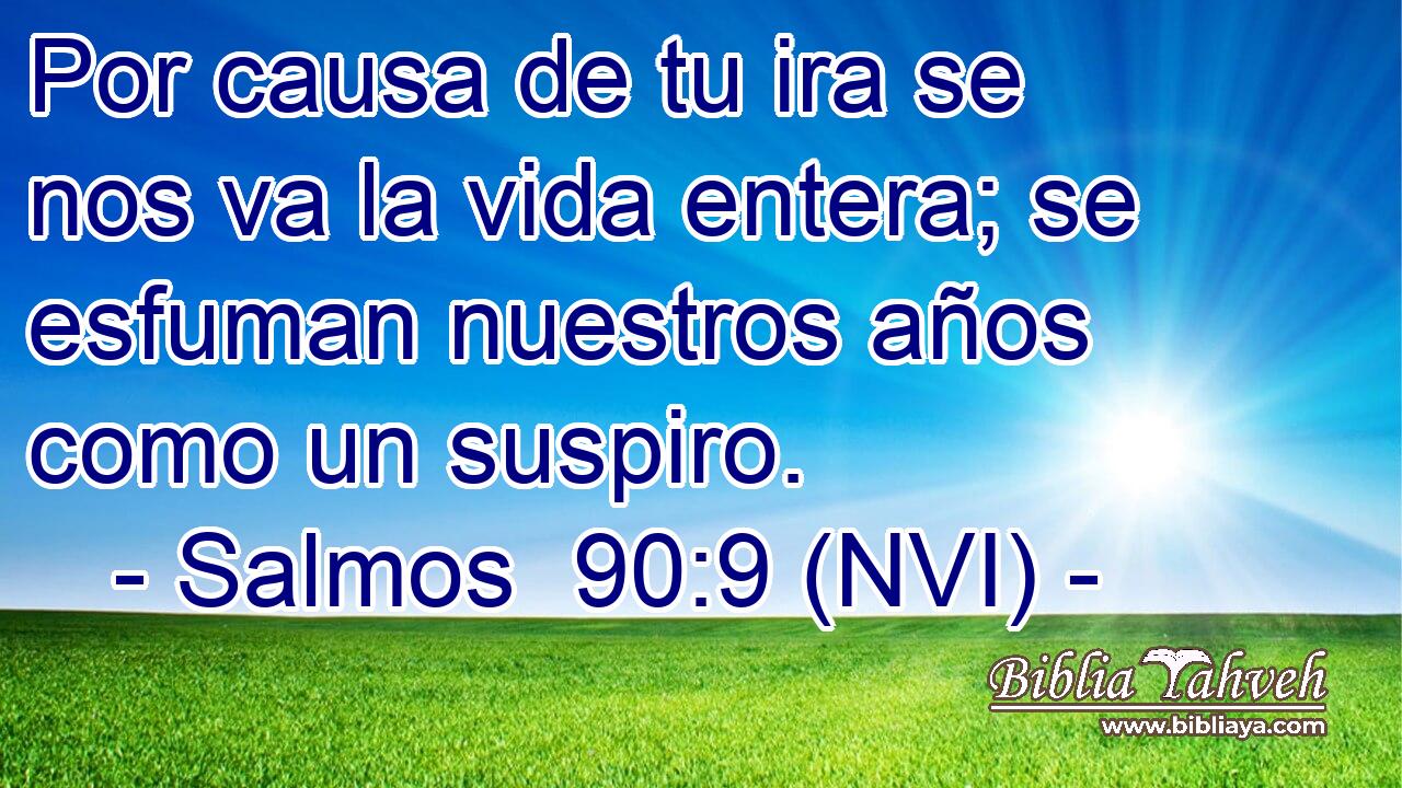 Por causa de tu ira se nos va la vida entera; se esfuman nuestros años como un suspiro. 