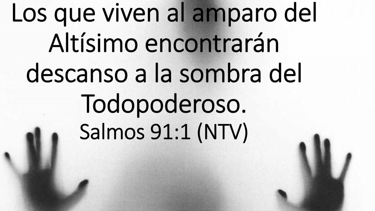 Los que viven al amparo del Altísimo encontrarán descanso a la sombra del Todopoderoso.