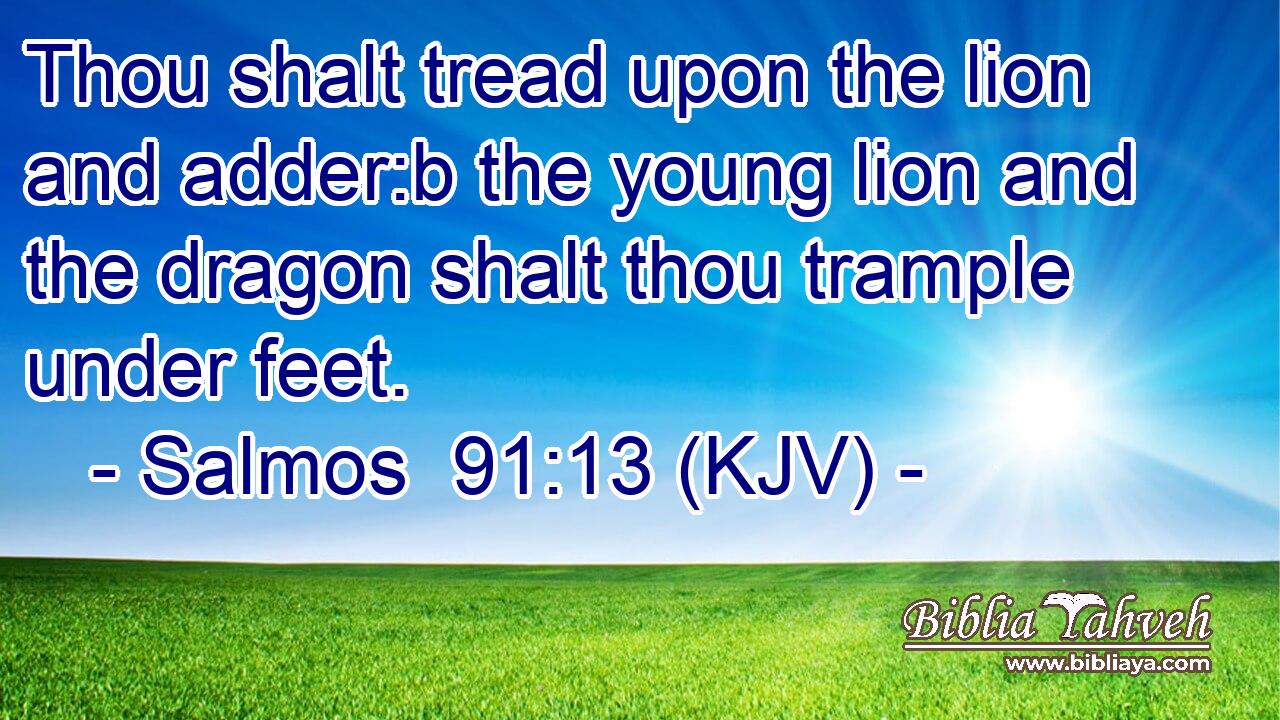 Thou shalt tread upon the lion and adder:b the young lion and the dragon shalt thou trample under feet.