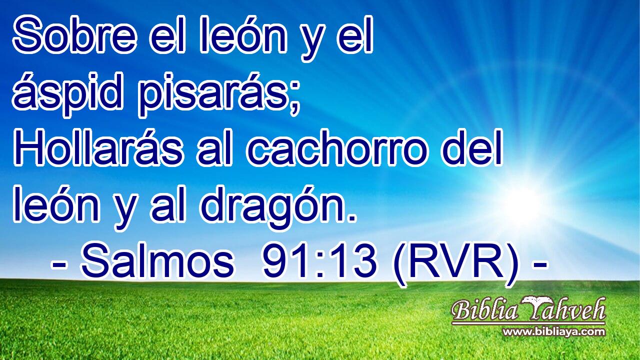 Sobre el león y el áspid pisarás; Hollarás al cachorro del león y al dragón.
