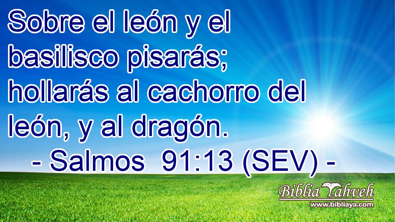 Sobre el león y el basilisco pisarás; hollarás al cachorro del león, y al dragón.