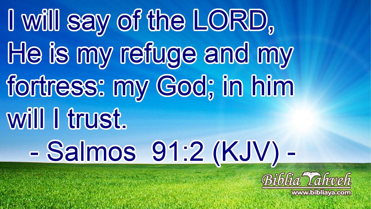 I will say of the LORD, He is my refuge and my fortress: my God; in him will I trust.