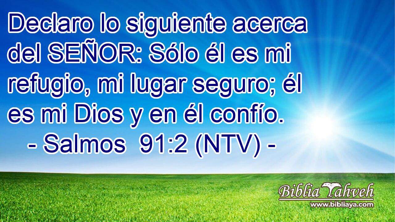 Declaro lo siguiente acerca del SEÑOR: Sólo él es mi refugio, mi lugar seguro; él es mi Dios y en él confío.