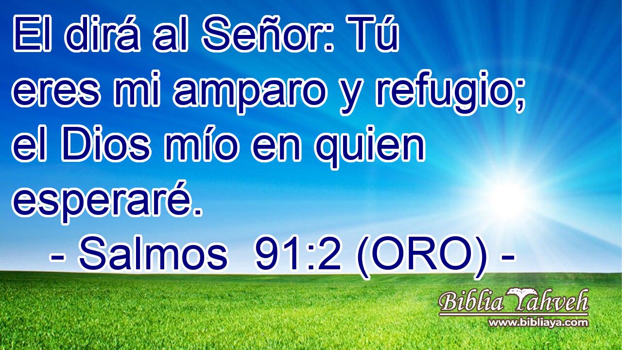  El dirá al Señor: Tú eres mi amparo y refugio; el Dios mío en quien esperaré. 