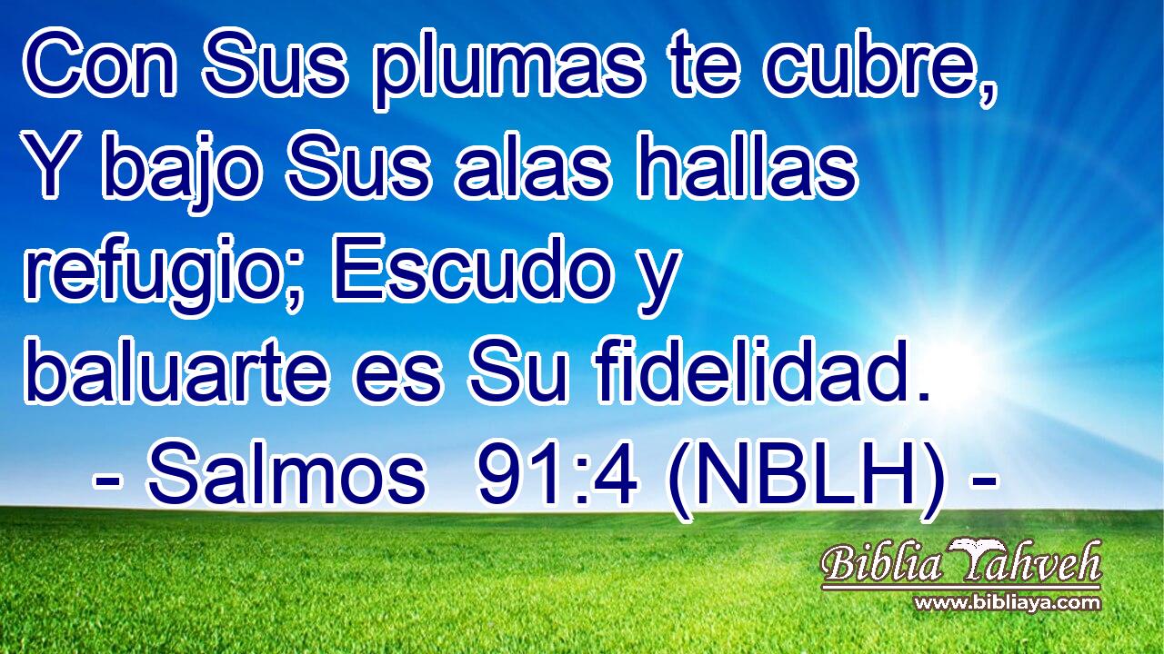  Con Sus plumas te cubre, Y bajo Sus alas hallas refugio; Escudo y baluarte es Su fidelidad. 