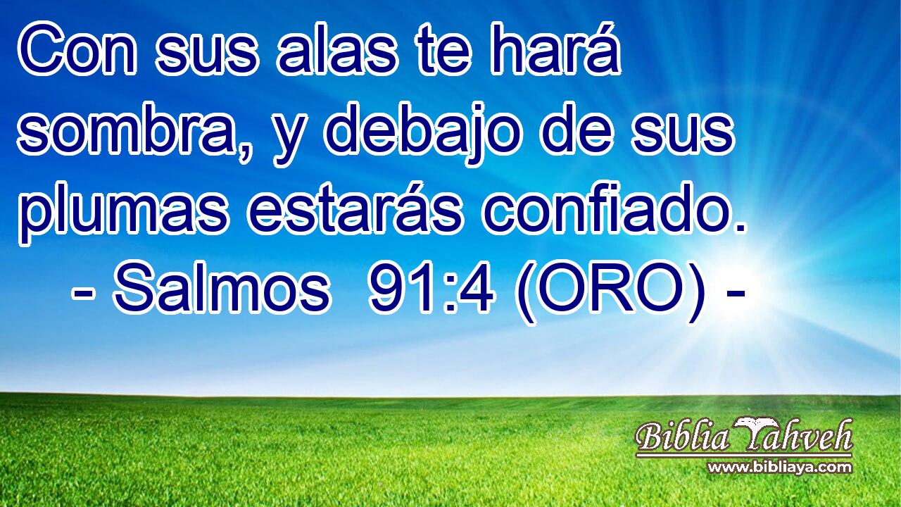  Con sus alas te hará sombra, y debajo de sus plumas estarás confiado. 