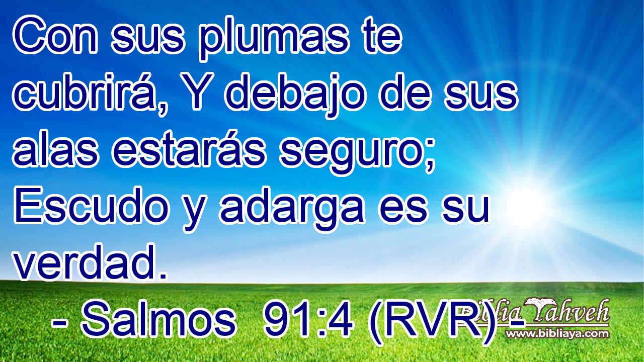 Con sus plumas te cubrirá, Y debajo de sus alas estarás seguro; Escudo y adarga es su verdad.