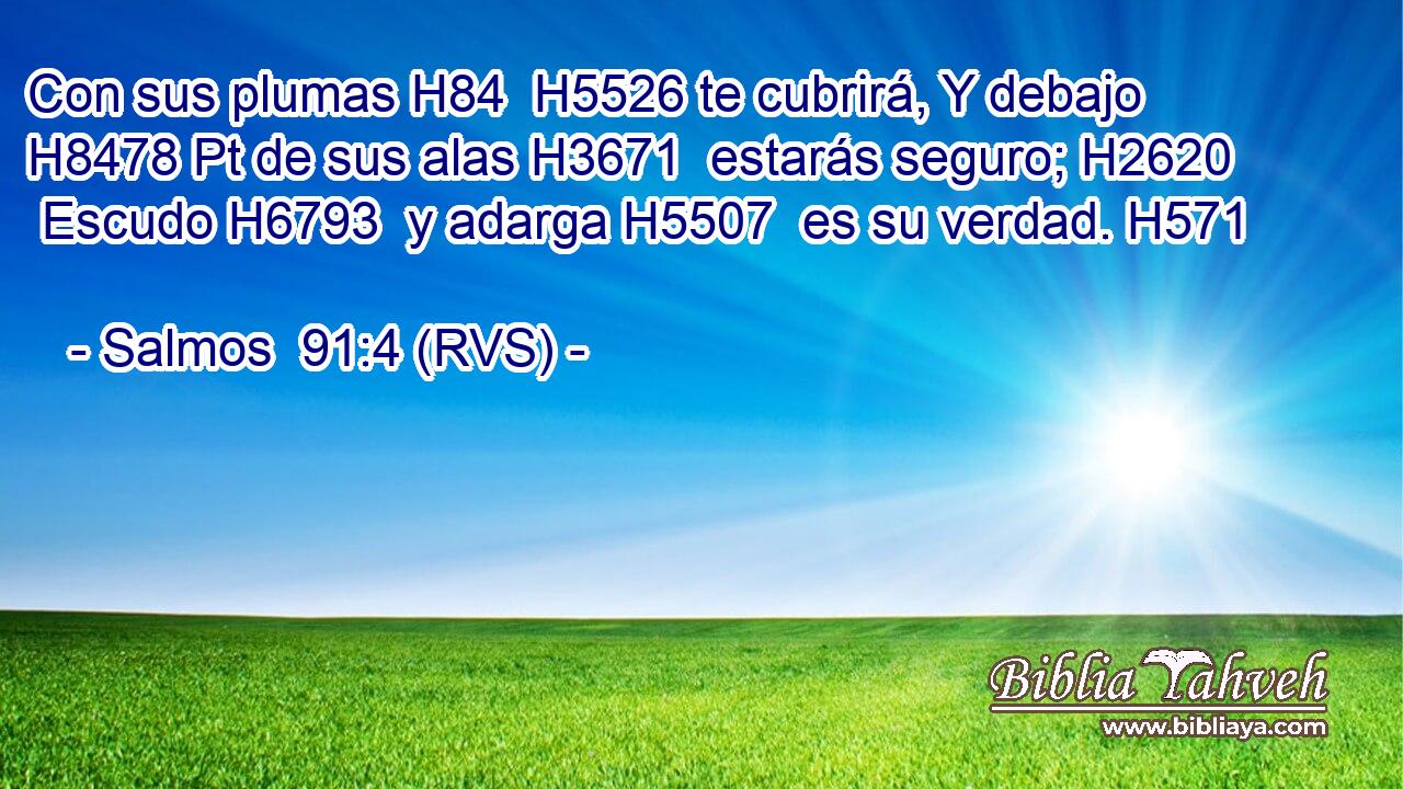 Con sus plumas H84  H5526 te cubrirá, Y debajo H8478 Pt de sus alas H3671  estarás seguro; H2620  Escudo H6793  y adarga H5507  es su verdad. H571  