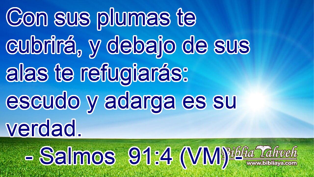  Con sus plumas te cubrirá, y debajo de sus alas te refugiarás: escudo y adarga es su verdad. 