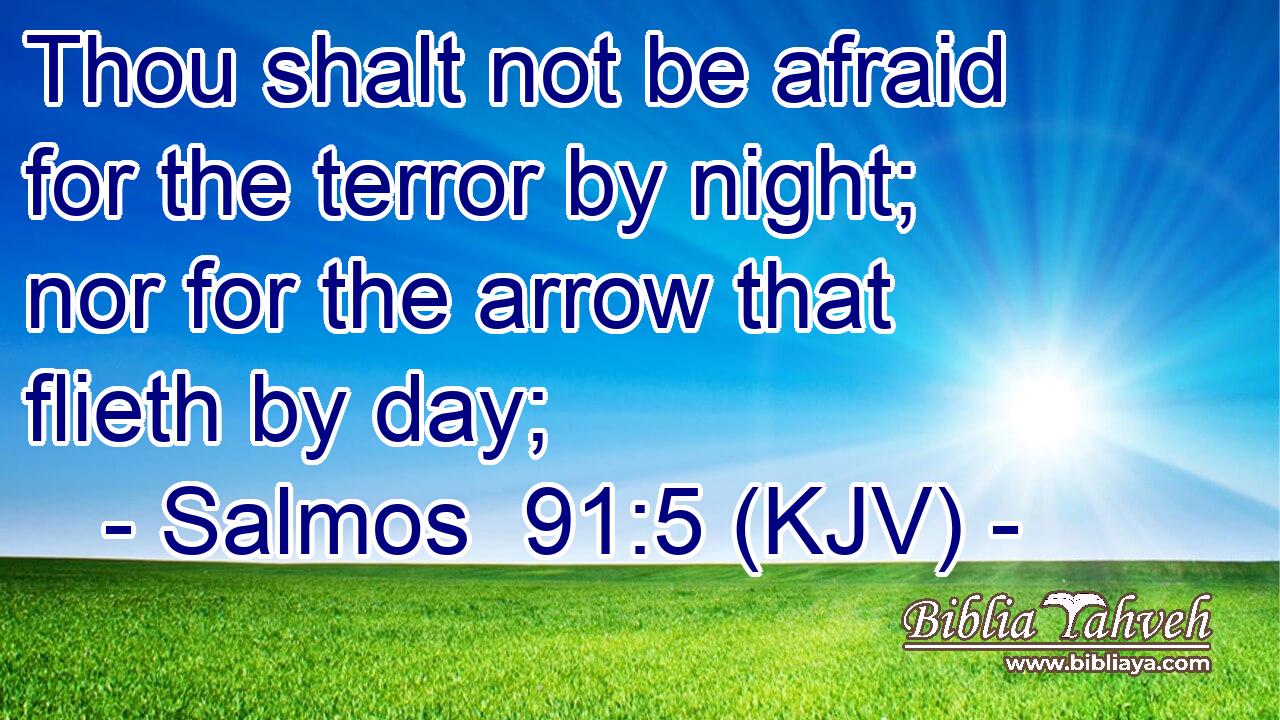 Thou shalt not be afraid for the terror by night; nor for the arrow that flieth by day;