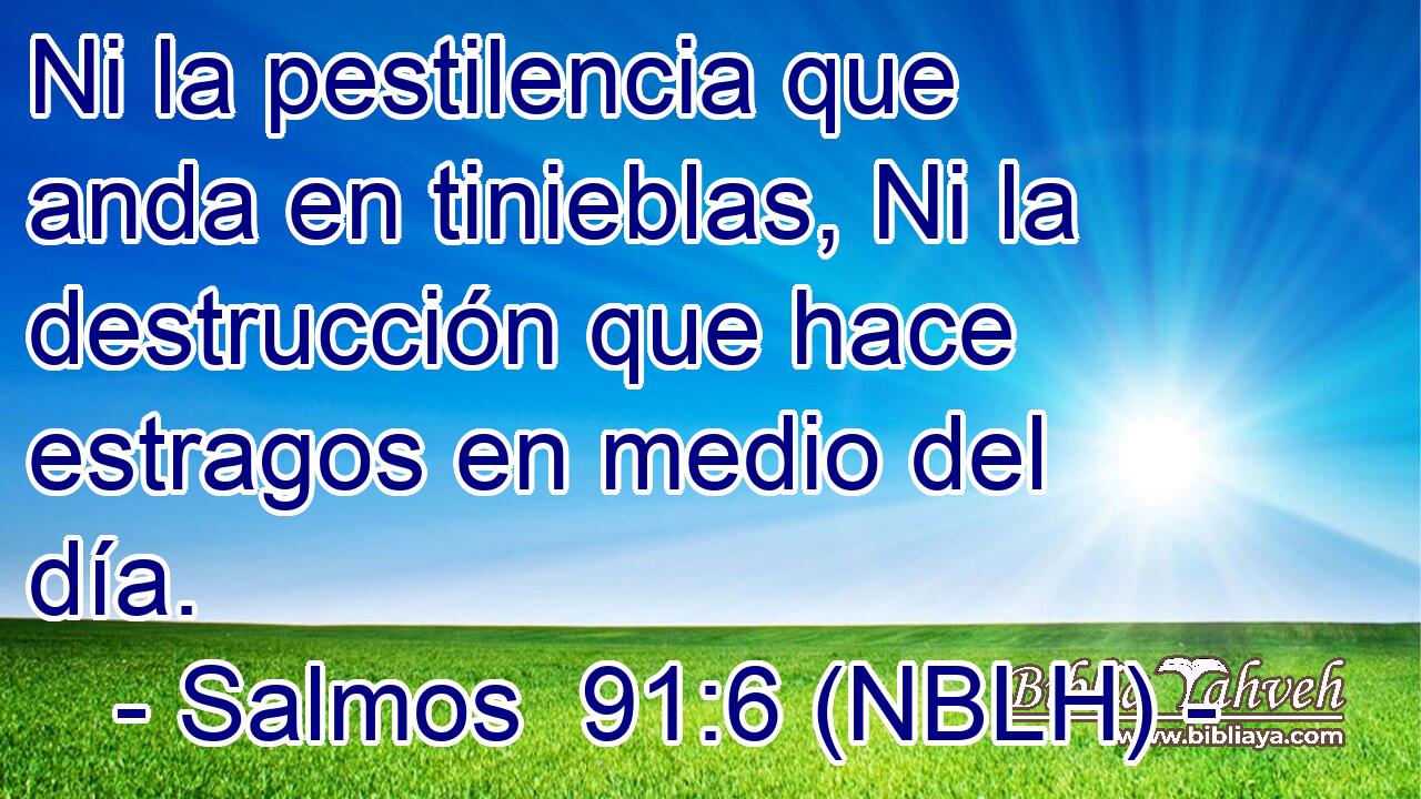  Ni la pestilencia que anda en tinieblas, Ni la destrucción que hace estragos en medio del día. 