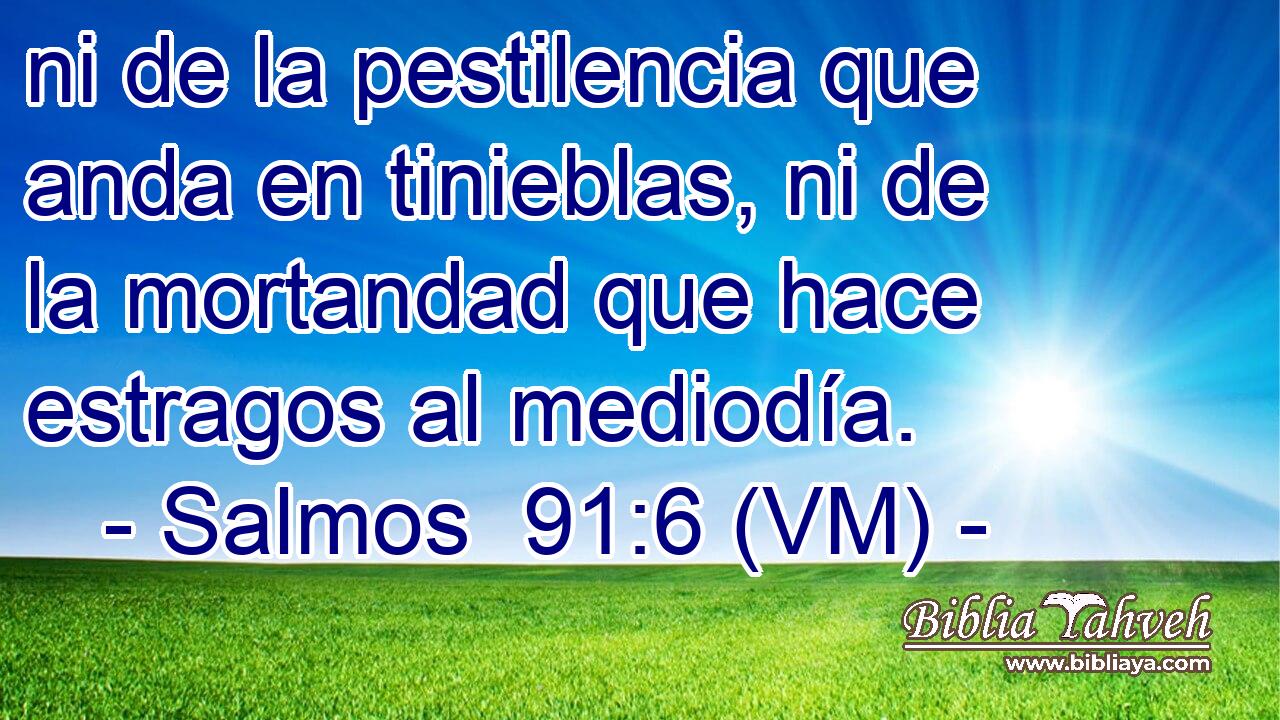  ni de la pestilencia que anda en tinieblas, ni de la mortandad que hace estragos al mediodía. 