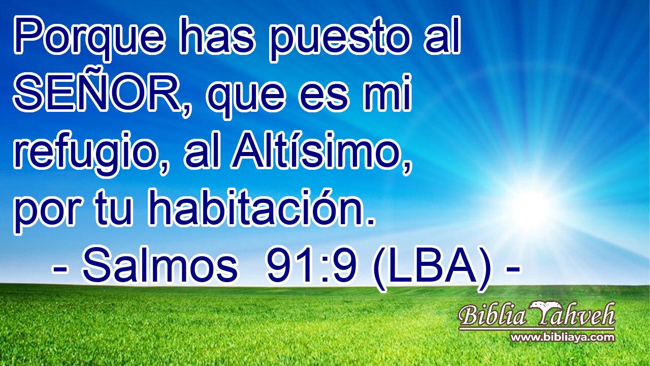 Porque has puesto al SEÑOR, que es mi refugio, al Altísimo, por tu habitación.