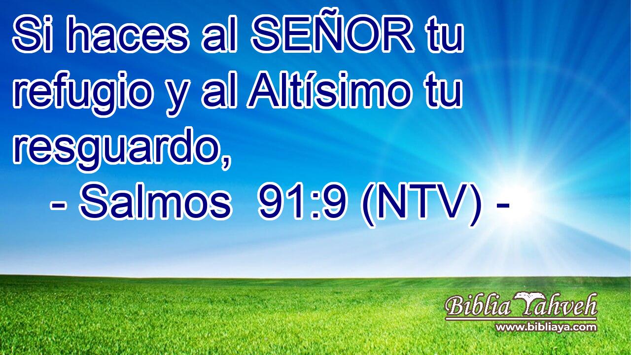 Si haces al SEÑOR tu refugio y al Altísimo tu resguardo,