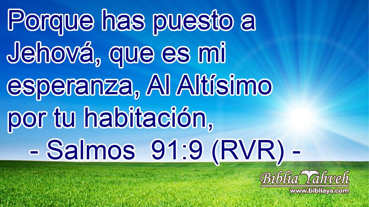 Porque has puesto a Jehová, que es mi esperanza, Al Altísimo por tu habitación,