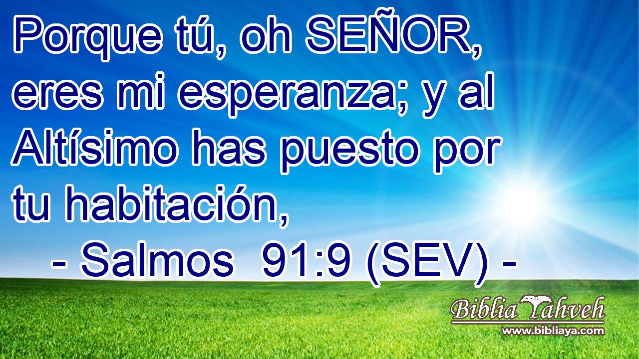 Porque tú, oh SEÑOR, eres mi esperanza; y al Altísimo has puesto por tu habitación,