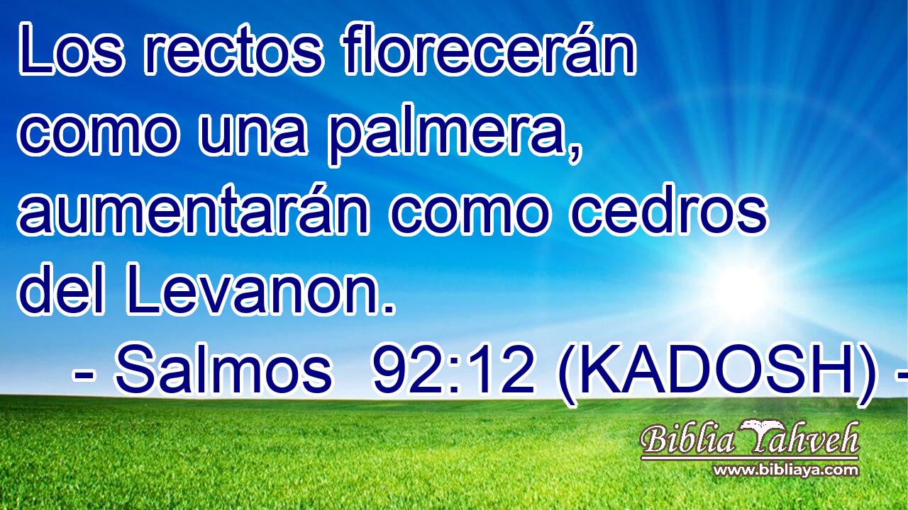  Los rectos florecerán como una palmera, aumentarán como cedros del Levanon. 