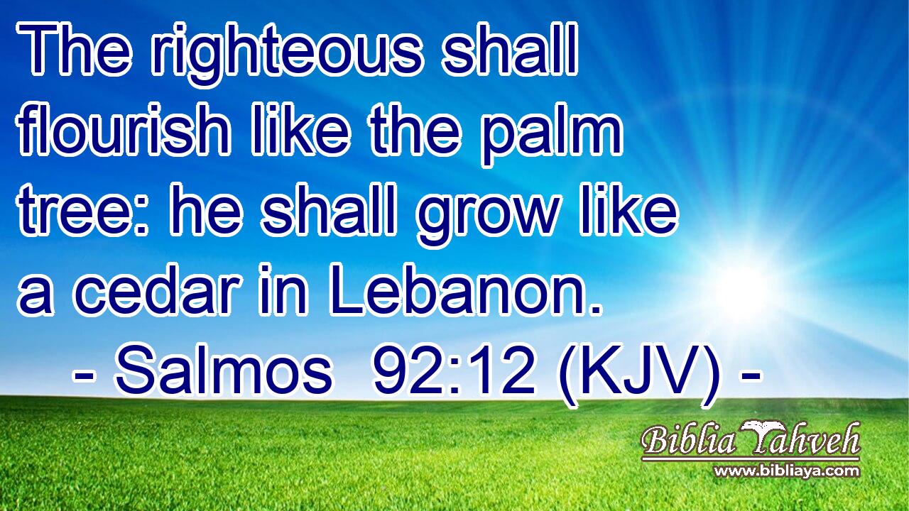 The righteous shall flourish like the palm tree: he shall grow like a cedar in Lebanon.