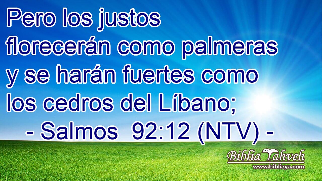 Pero los justos florecerán como palmeras y se harán fuertes como los cedros del Líbano;