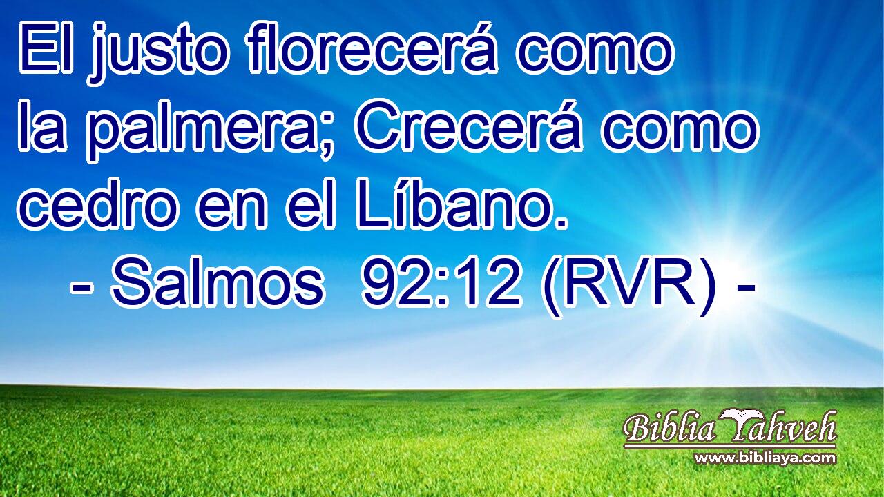 El justo florecerá como la palmera; Crecerá como cedro en el Líbano.