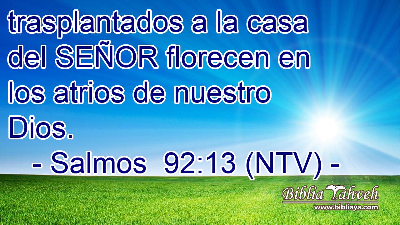 trasplantados a la casa del SEÑOR florecen en los atrios de nuestro Dios.