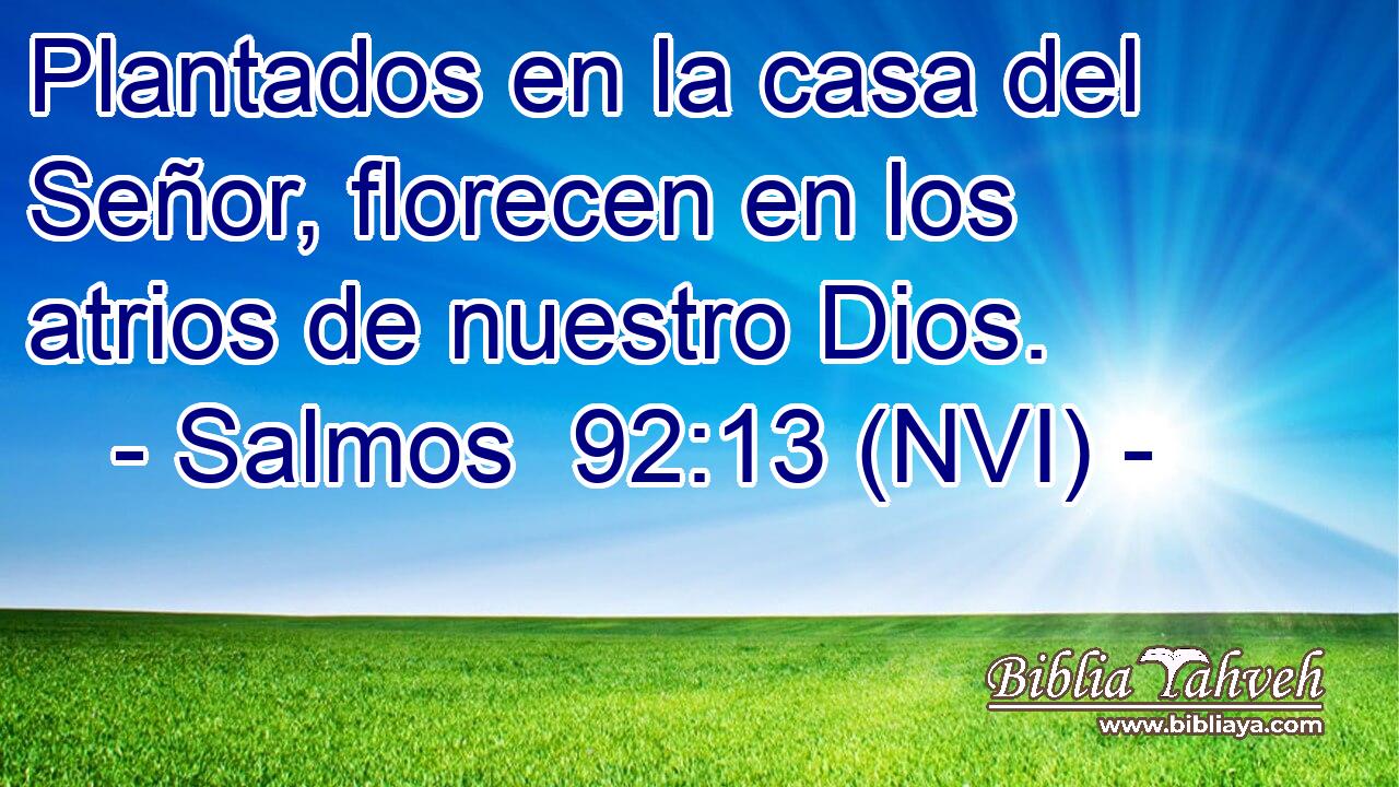  Plantados en la casa del Señor, florecen en los atrios de nuestro Dios. 