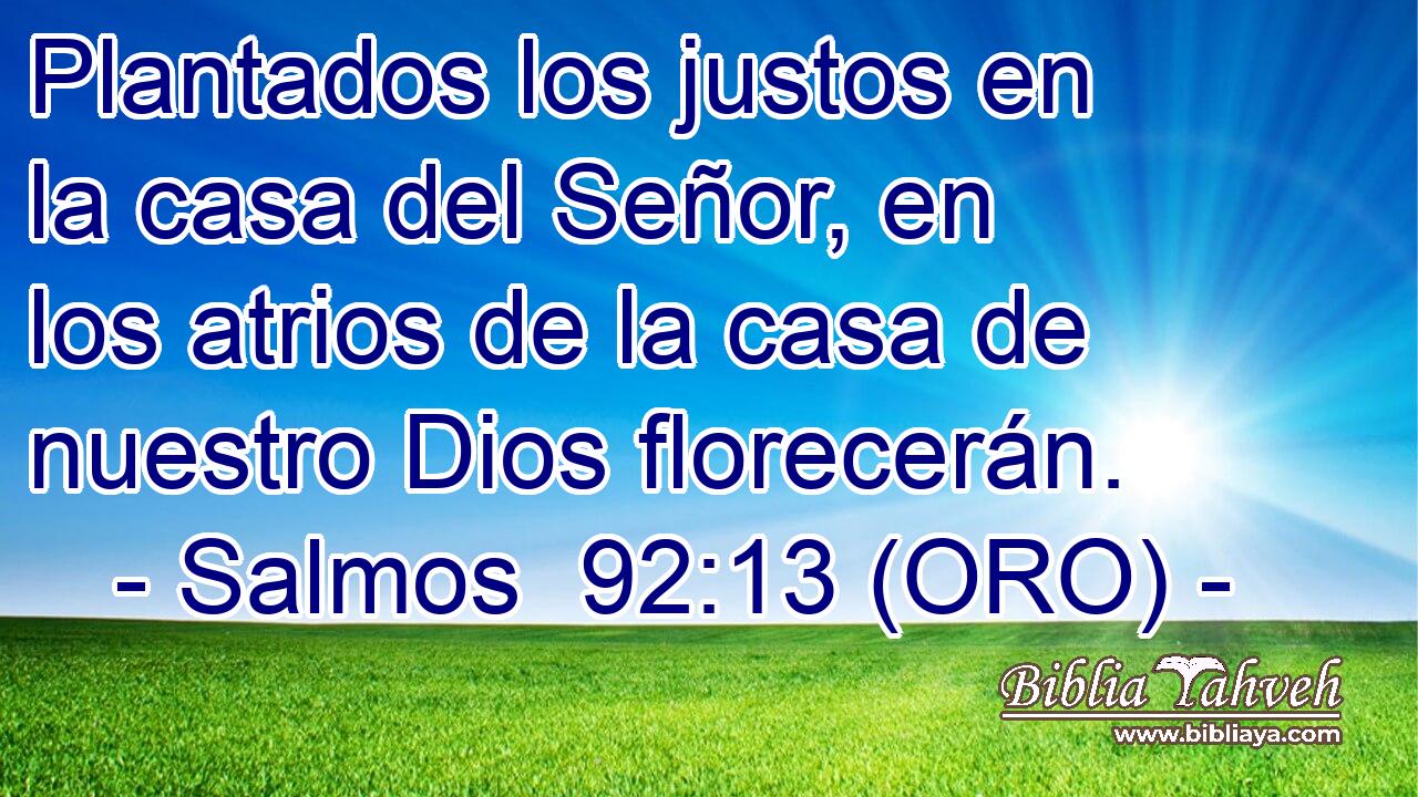  Plantados los justos en la casa del Señor, en los atrios de la casa de nuestro Dios florecerán. 