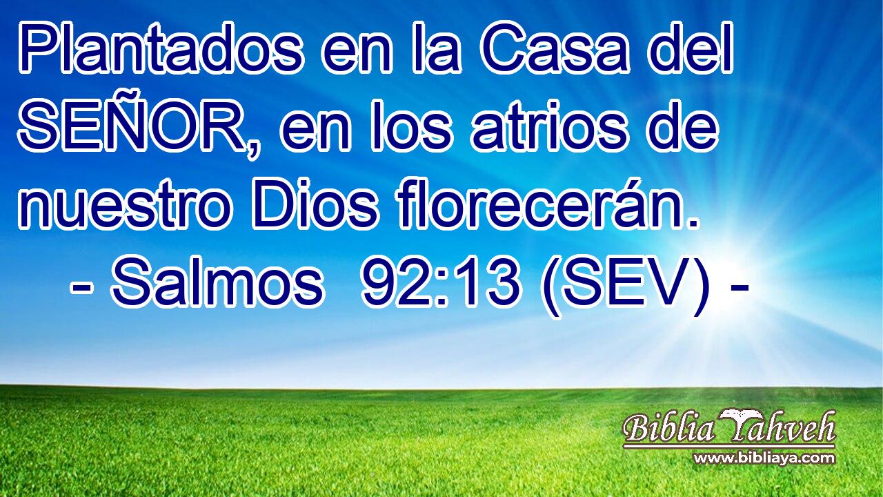 Plantados en la Casa del SEÑOR, en los atrios de nuestro Dios florecerán.