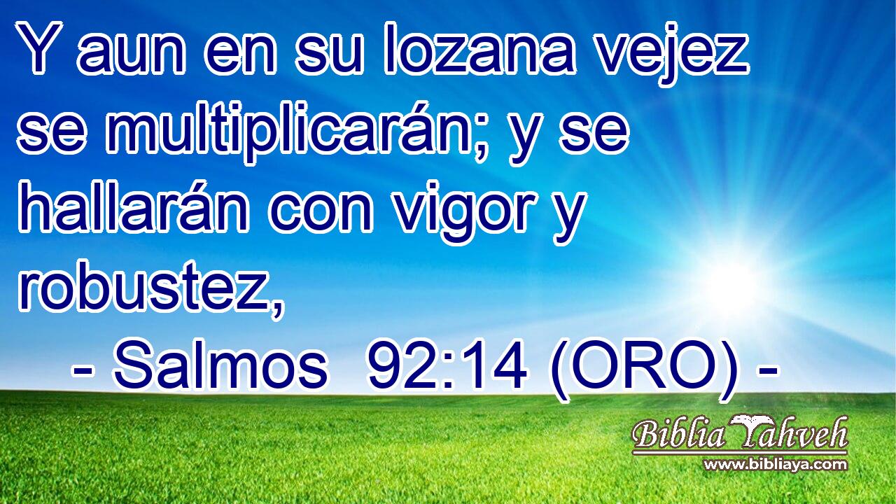  Y aun en su lozana vejez se multiplicarán; y se hallarán con vigor y robustez, 